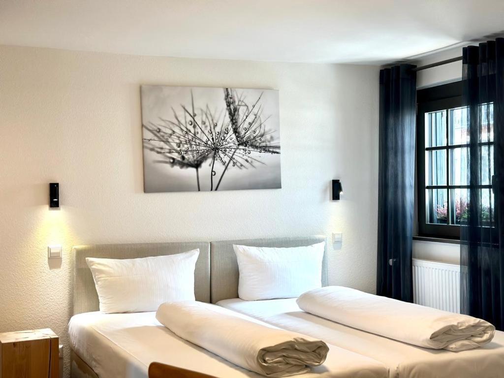 Ochsen Hotel Friesenheim (Baden-Wurttemberg)